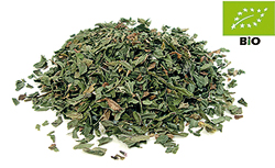 Bio Pfefferminze kbA.