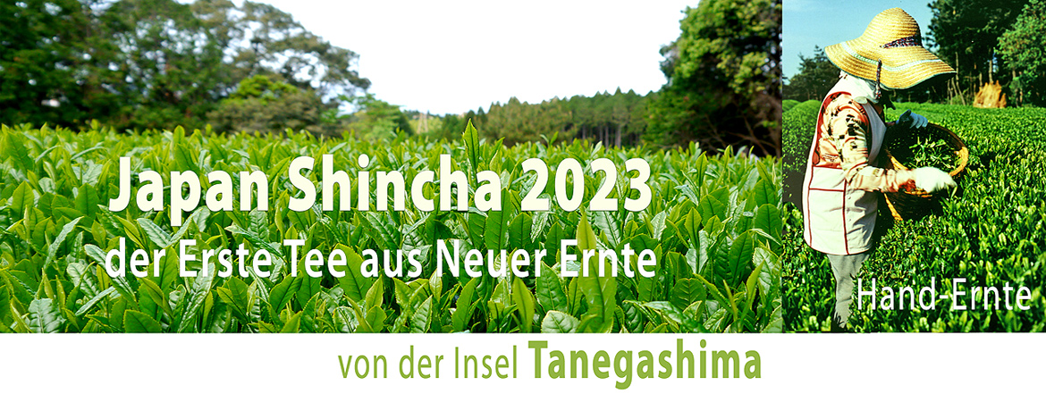 banner Shincha 2023