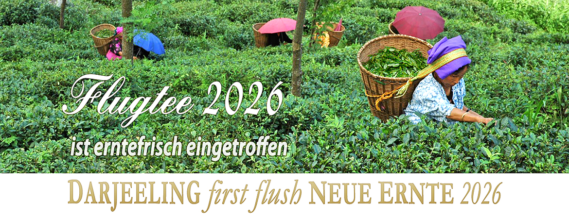 banner Darjeeling Flugtee