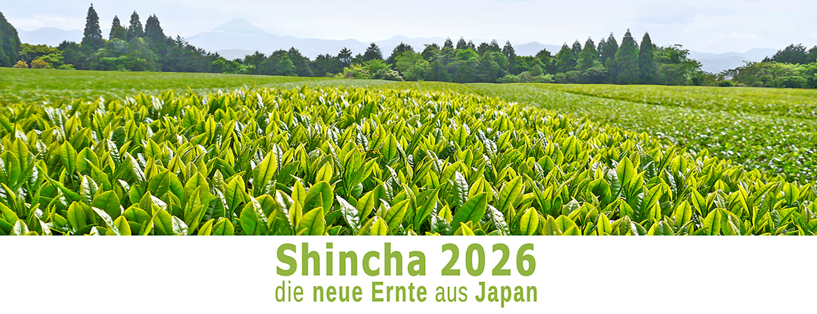 Japan Shincha 2026 neue Ernte