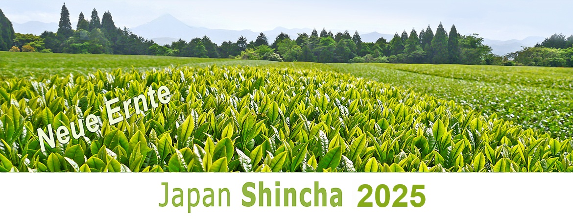 banner Shincha