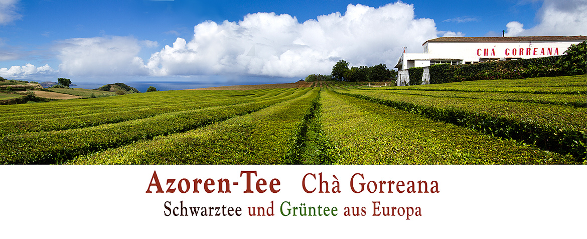 banner Azoren Gorreana Tee